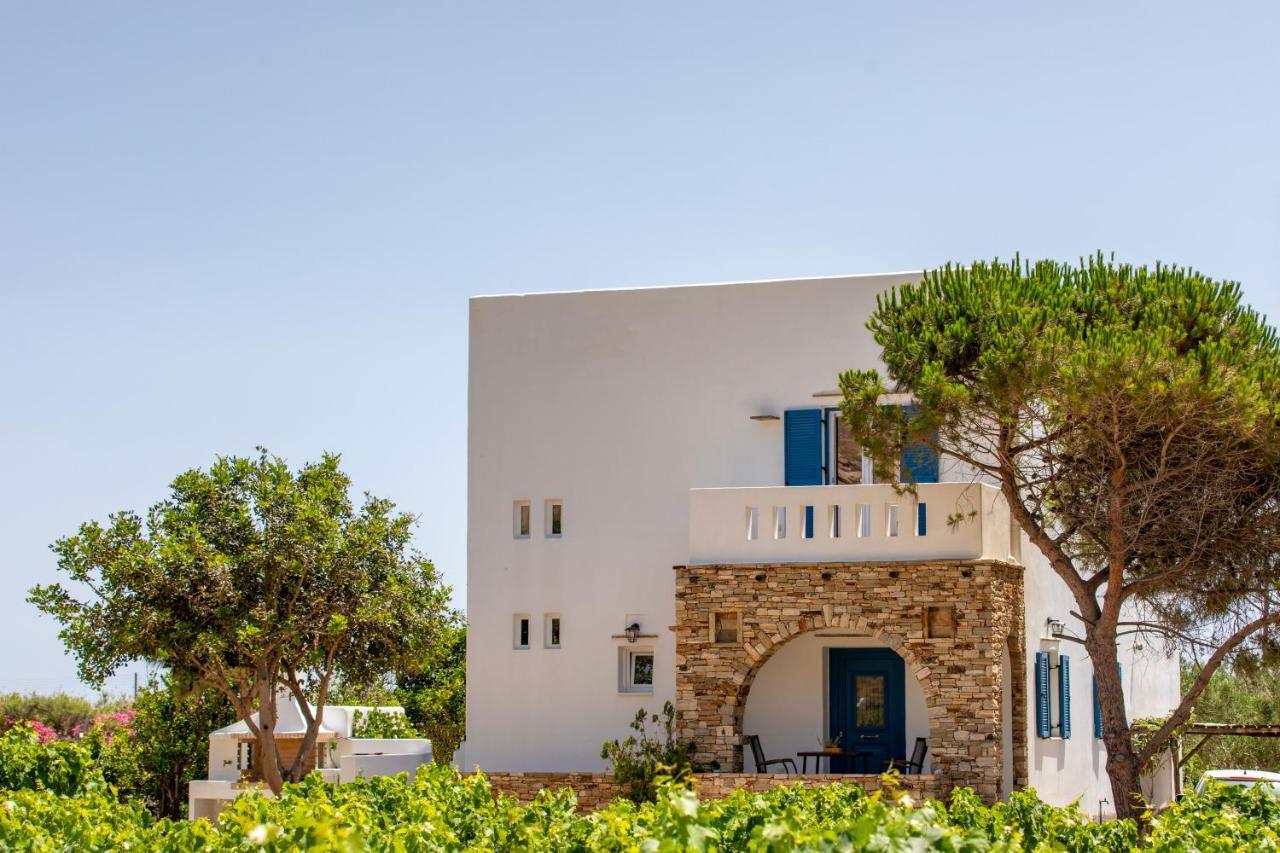 Oneiric Harmony Villa Mikri Vigla Bagian luar foto